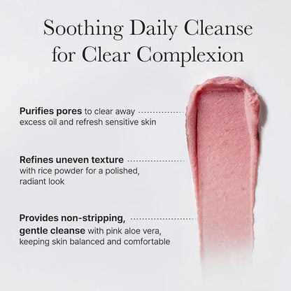 Arencia Fresh Rosehip Rice Mochi Cleanser (120g)
