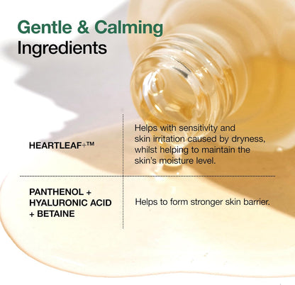 Anua Heartleaf 80% Soothing Ampoule