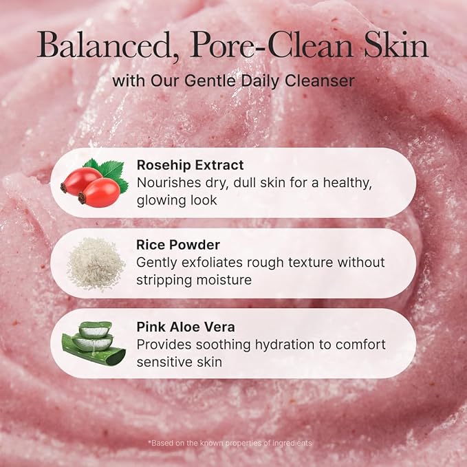 Arencia Fresh Rosehip Rice Mochi Cleanser (120g)